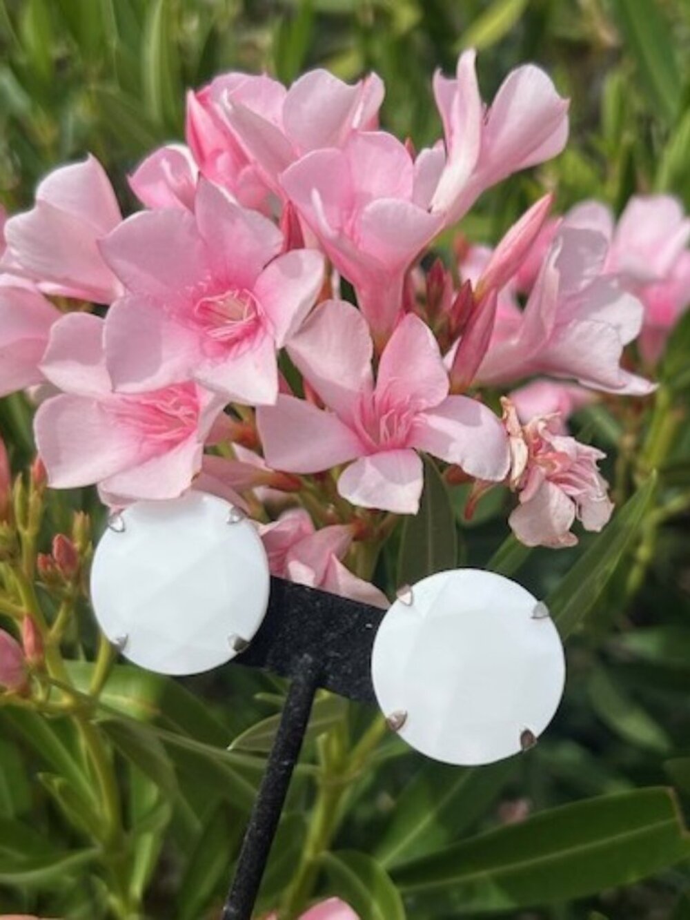 HOBÉ White Milk Glass Faceted Round EARRINGS